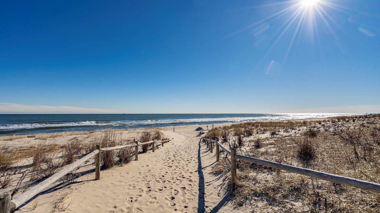 Photo of Others in Harvey Cedars