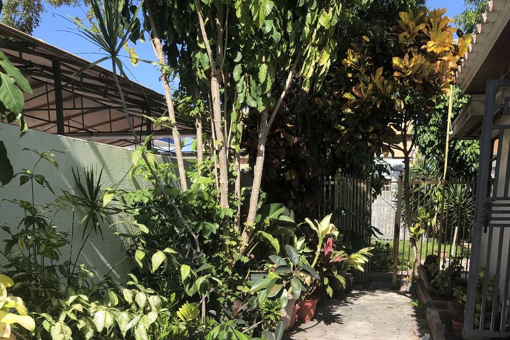 Photo of Others in Northeast Miami