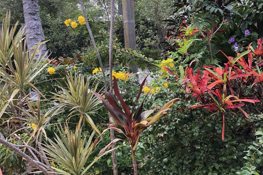 Photo of Outdoor in Northeast Miami