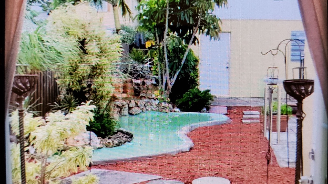 Photo of Others in South Palm Park Neighborhood Association