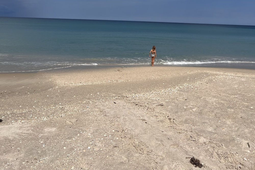 Photo of Others in New Melbourne Beach
