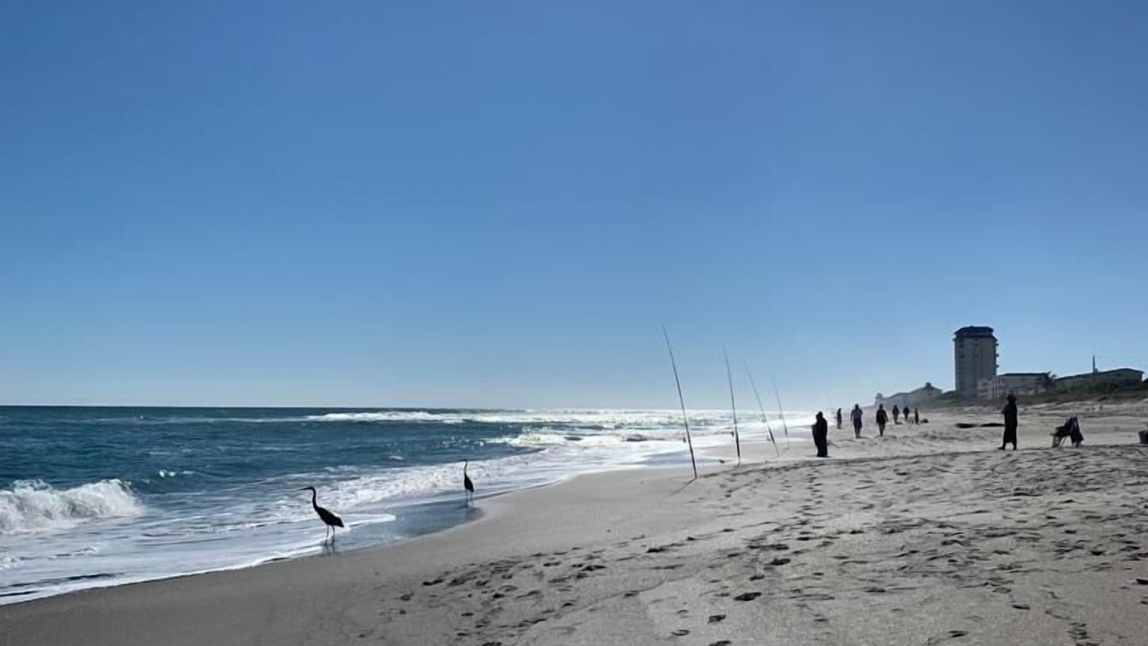 Photo of Others in Palm Bay