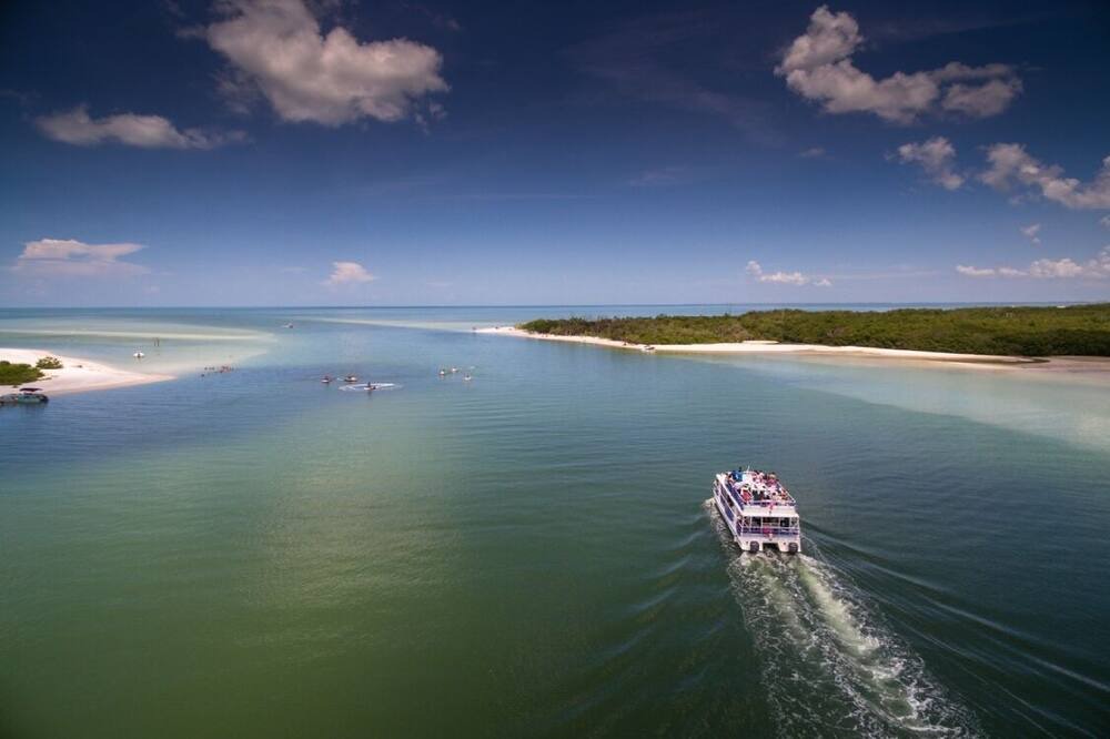 Photo of Others in Estero