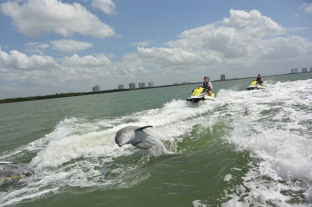 Photo of Others in Estero