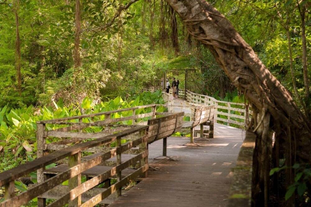 Photo of Outdoor in Estero