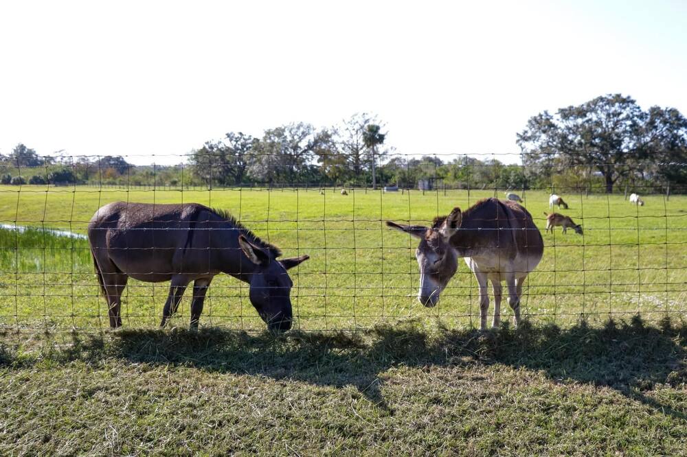 Photo of Others in LaBelle