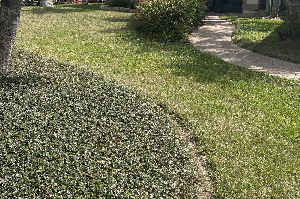 Photo of Outdoor in Naples