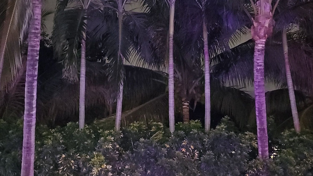 Photo of Outdoor in Palmetto Bay