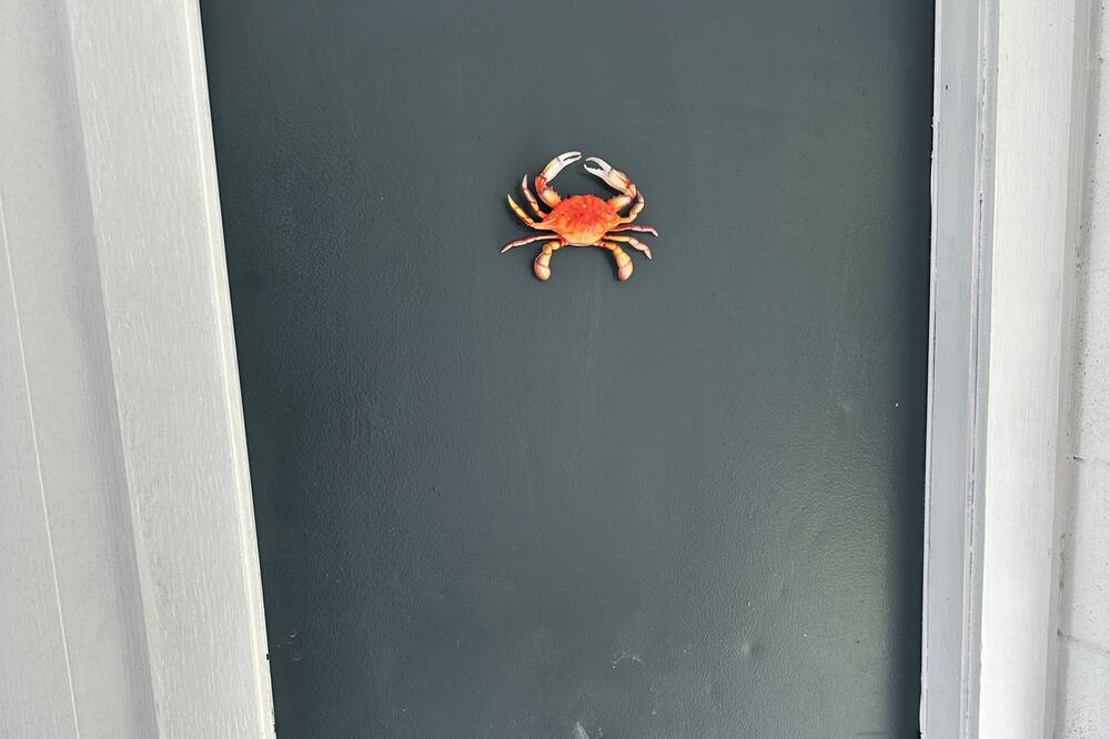 Photo of Others in Everglades City
