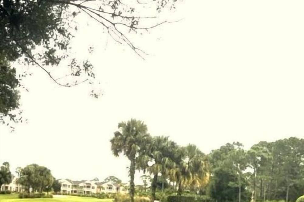 Photo of Others in Port Saint Lucie