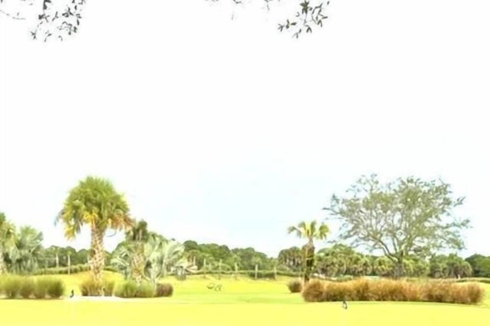 Photo of Others in Port Saint Lucie