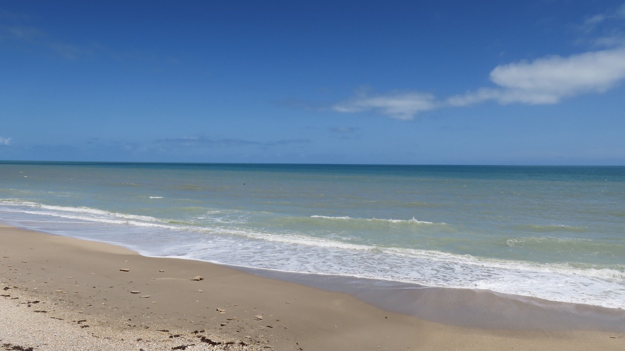 Photo of Others in Hutchinson Island South