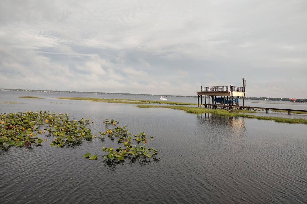 Photo of Others in Sebring