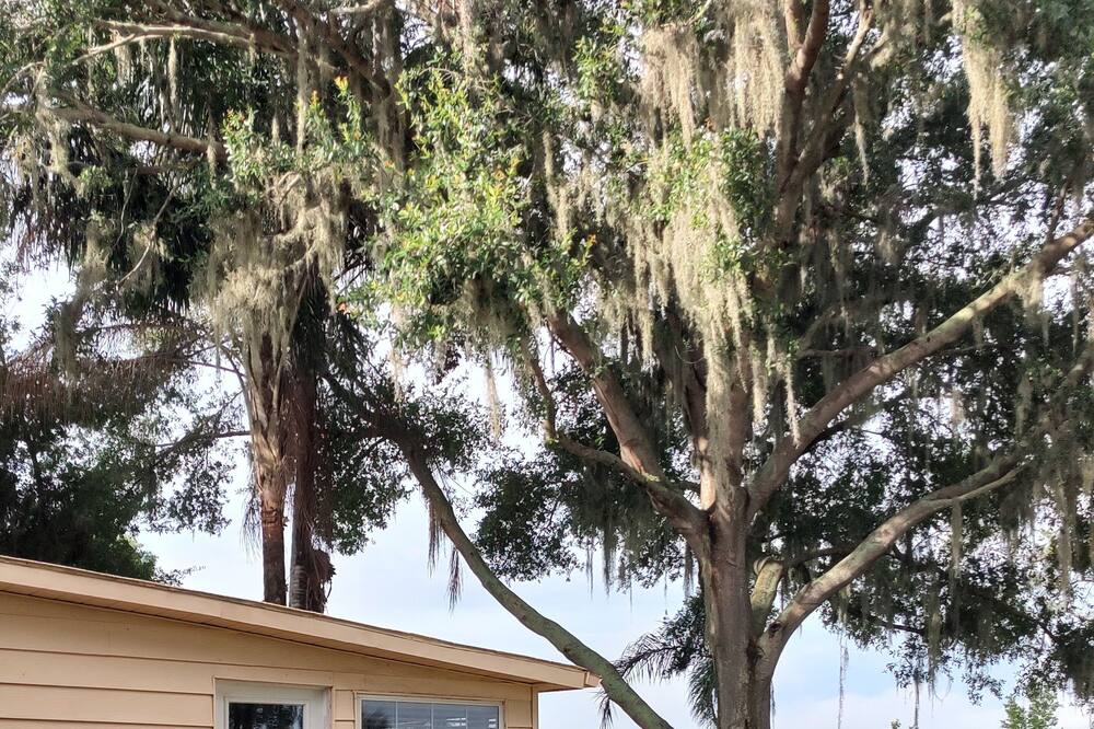Photo of Outdoor in Sebring