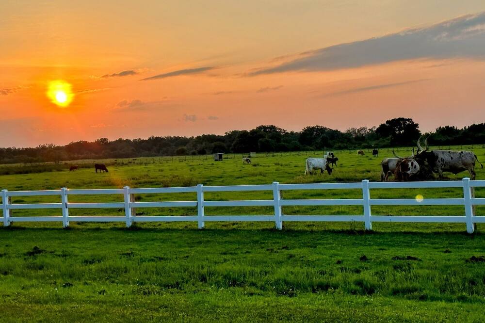Photo of Others in River Ranch