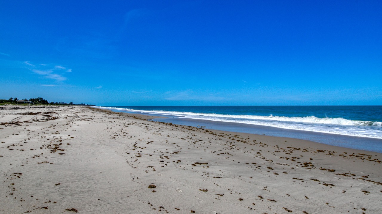 Photo of Others in Fort Pierce