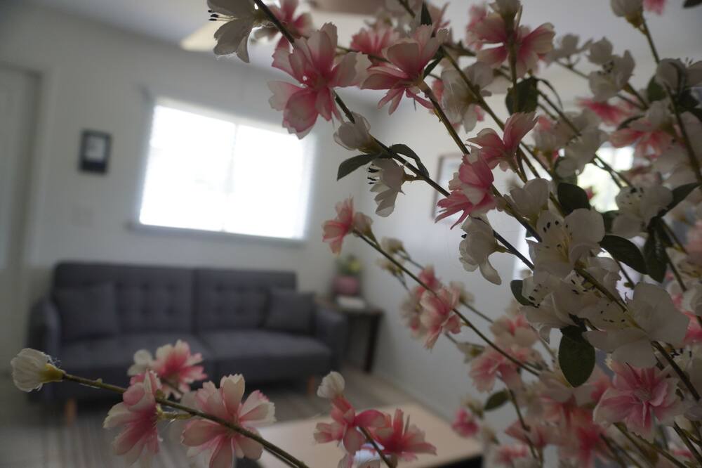 Photo of Livingroom in Fort Myers Shores
