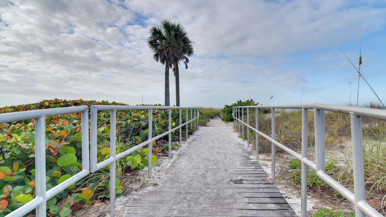 Photo of Others in Madeira Beach