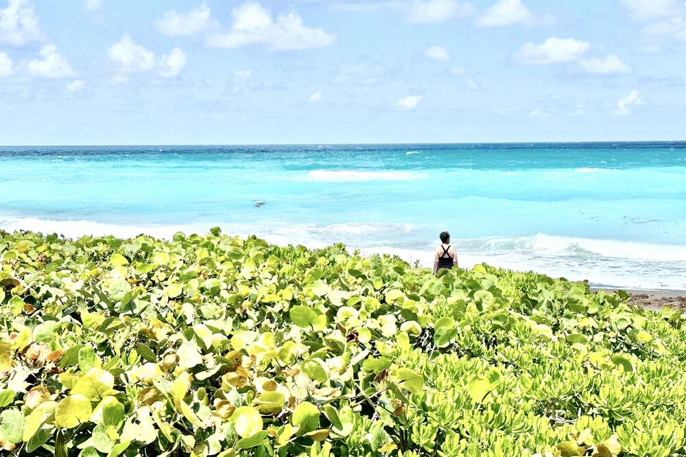 Photo of Others in Juno Beach