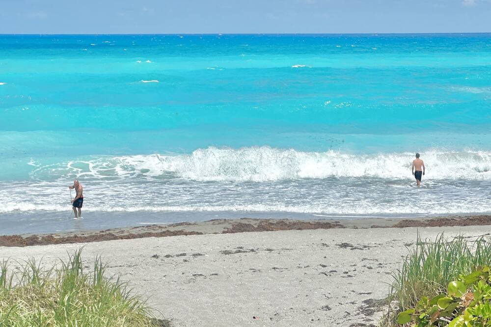 Photo of Others in Juno Beach