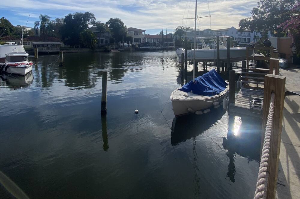 Photo of Others in Davis Islands