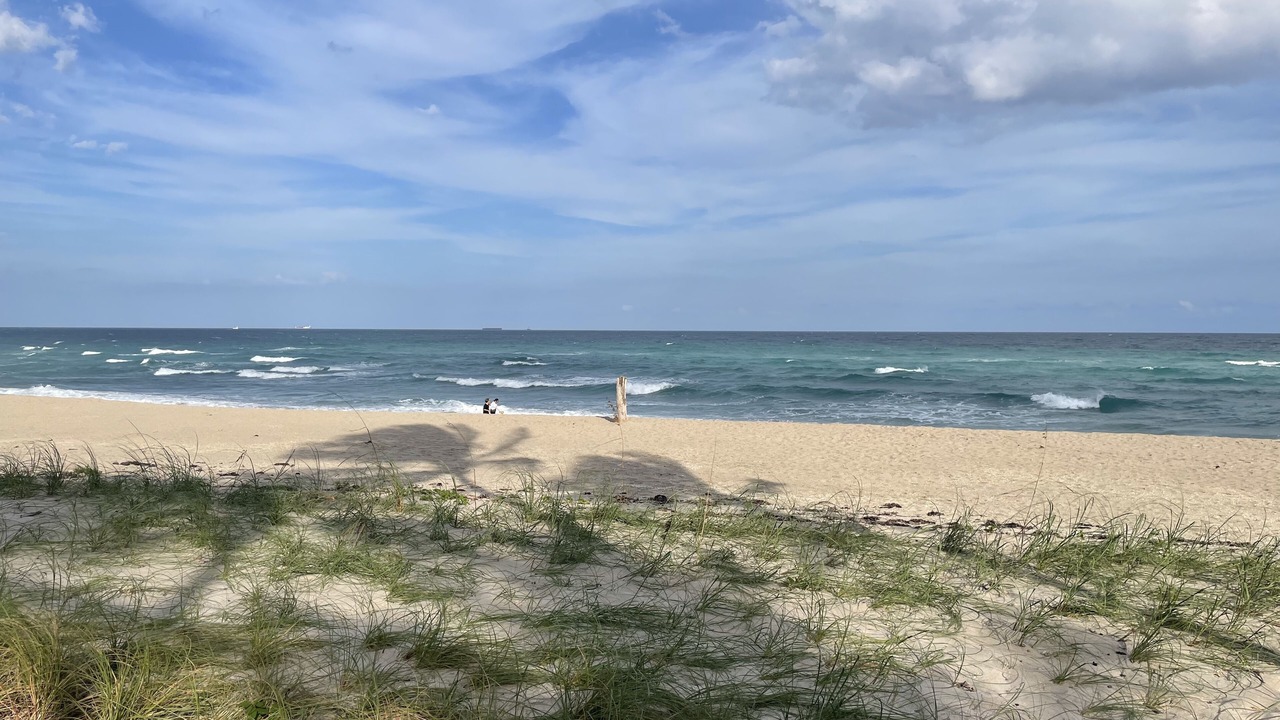 Photo of Others in Palm Beach