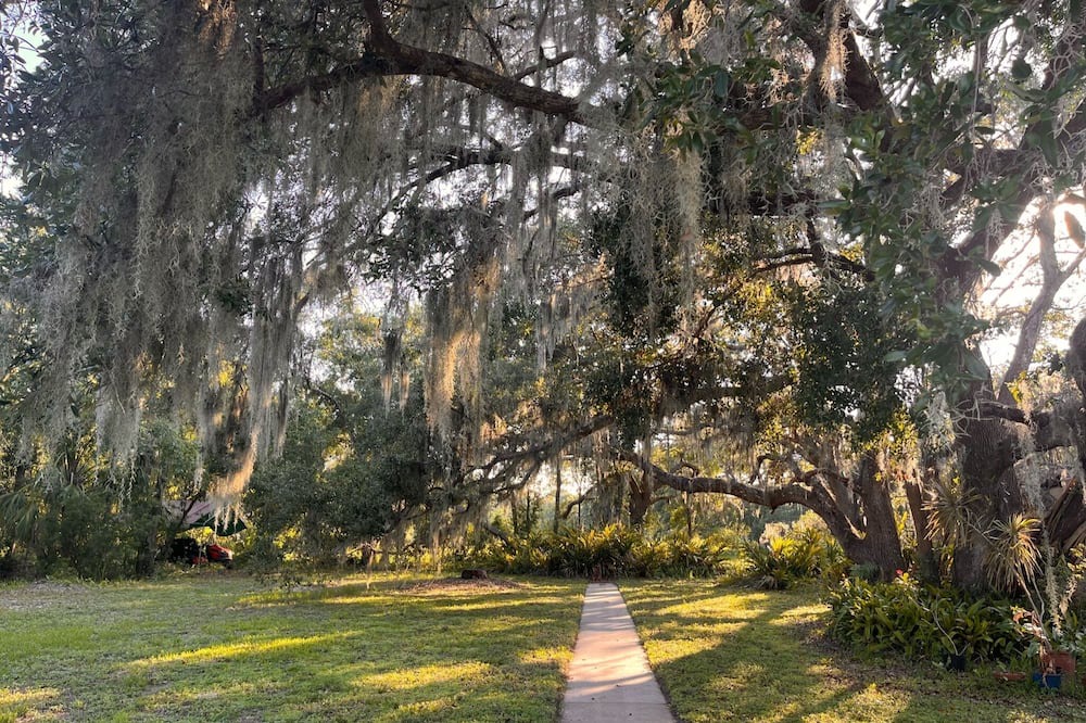 Photo of Outdoor in Lake Sarasota