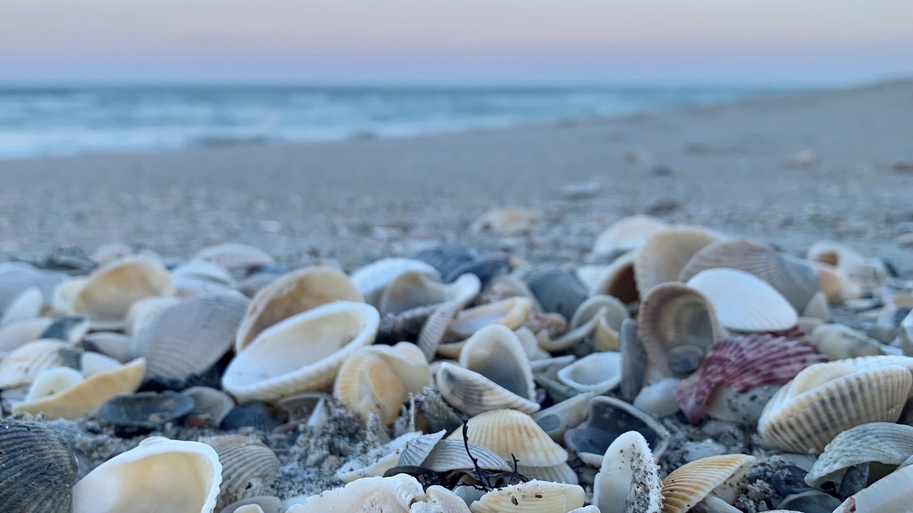 Photo of Outdoor in South Patrick Shores