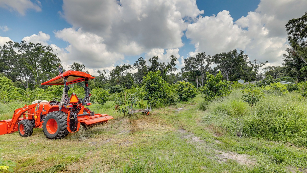 Photo of Outdoor in Greater Palm River Point CDC