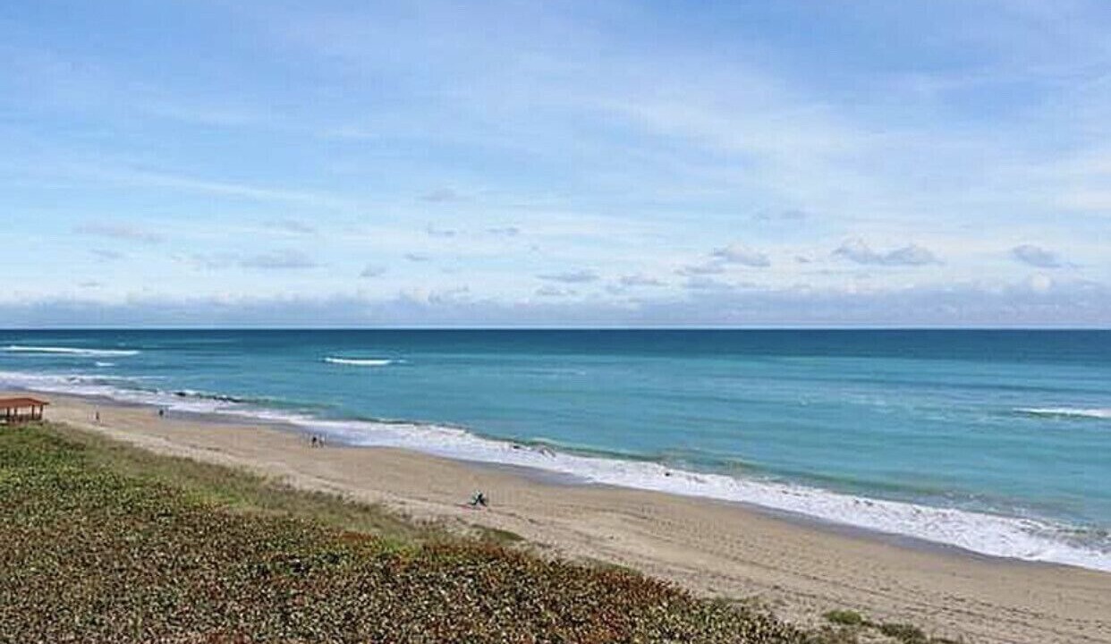 Photo of Others in Hutchinson Island South