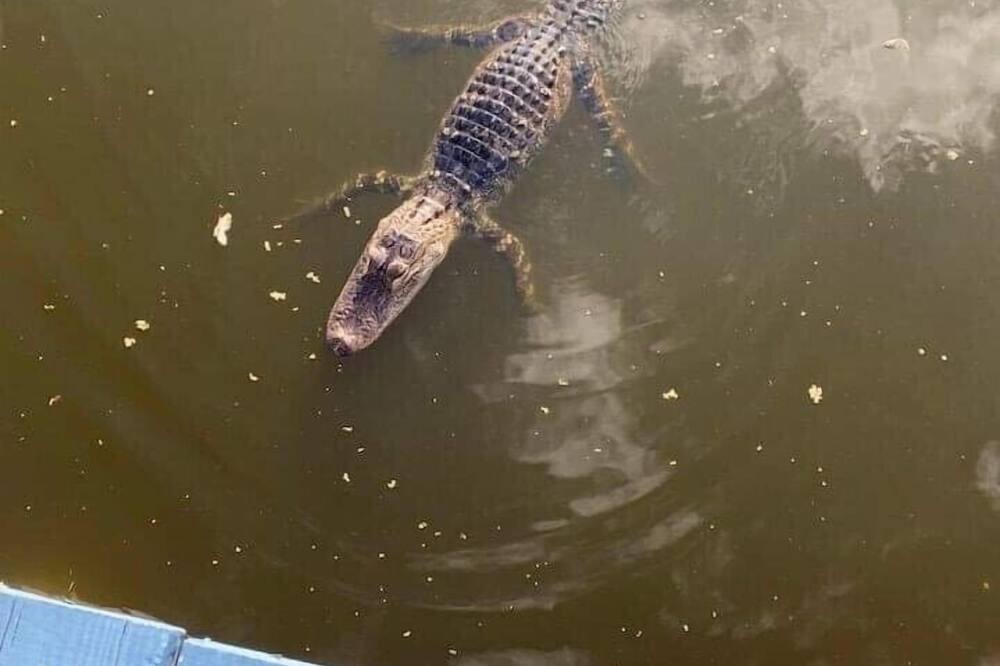 Photo of Others in Okeechobee