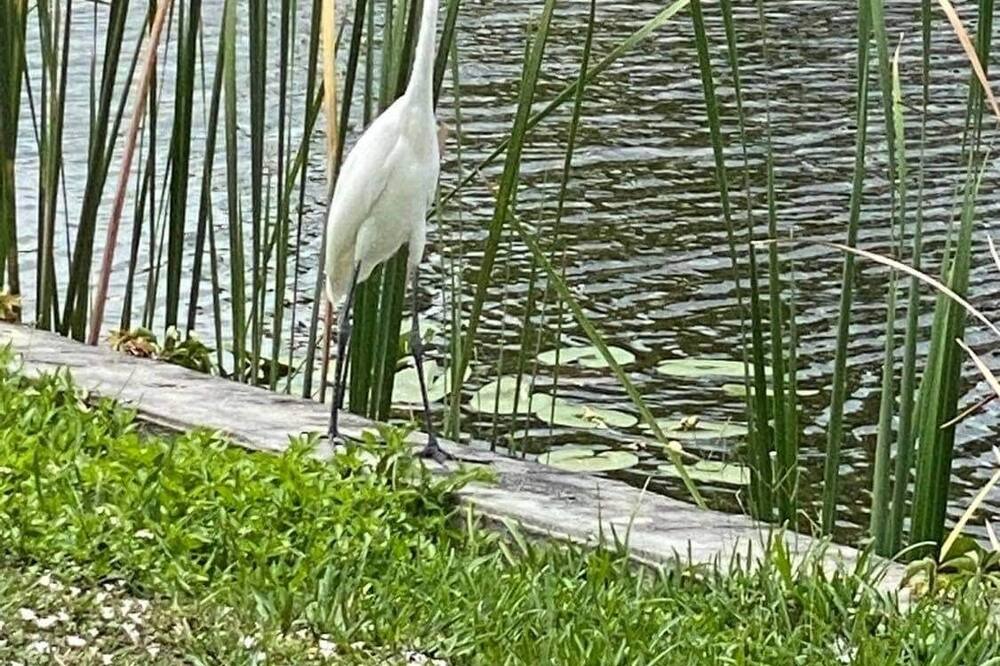 Photo of Outdoor in Okeechobee