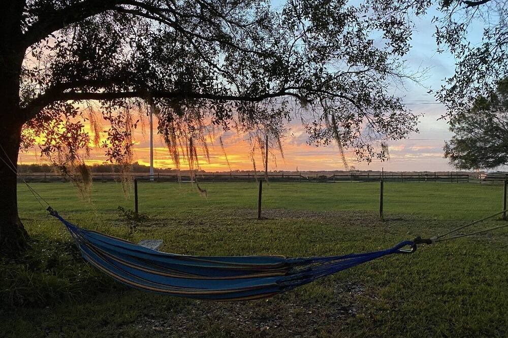 Photo of Outdoor in Braden River