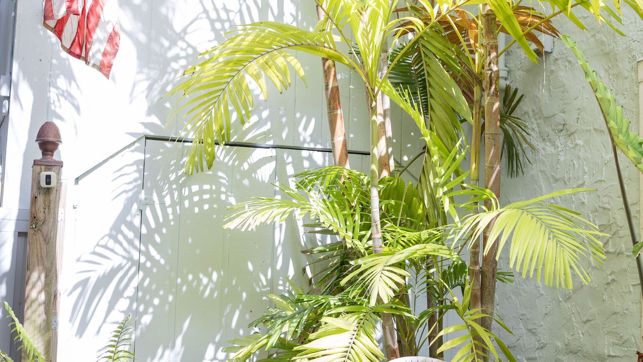 Photo of Patio Balcony in West Palm Beach