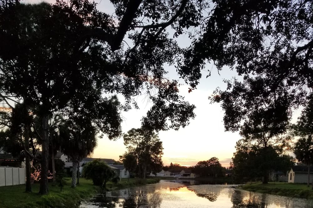 Photo of Outdoor in Carrollwood