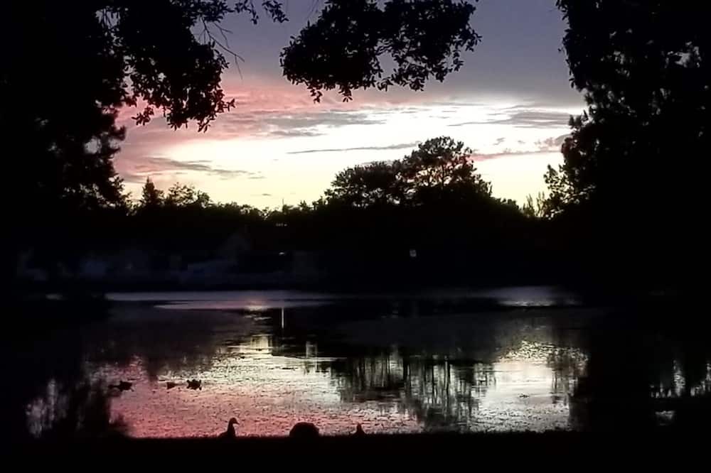 Photo of Others in Carrollwood