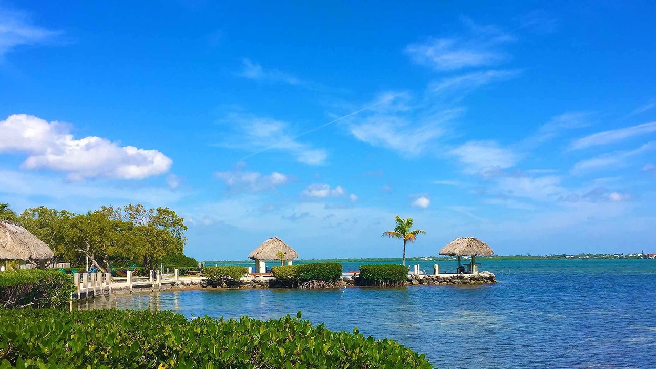Photo of Others in Little Torch Key