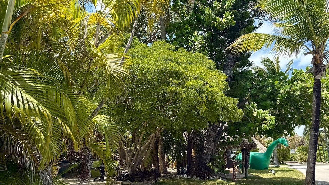 Photo of Outdoor in Key Largo