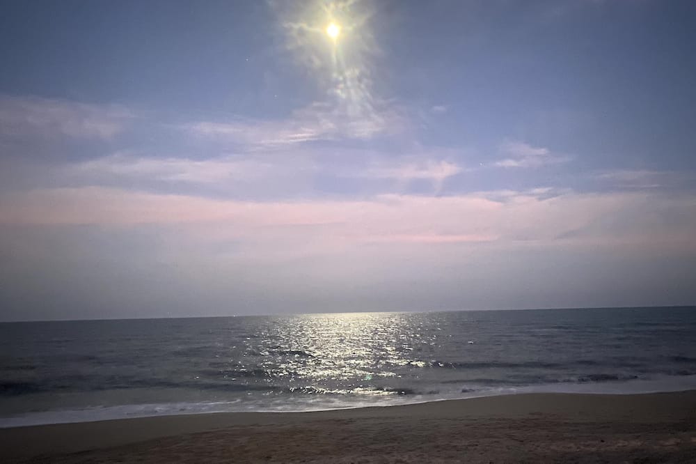 Photo of Others in Melbourne Beach