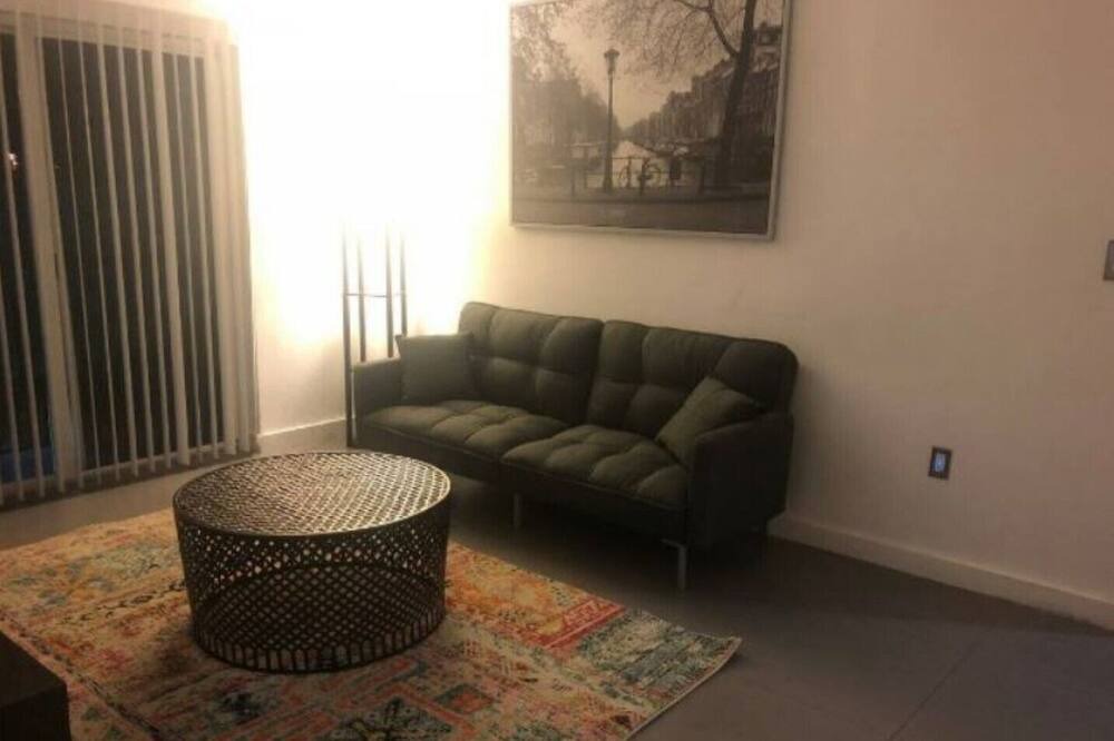 Photo of Livingroom in Allapattah