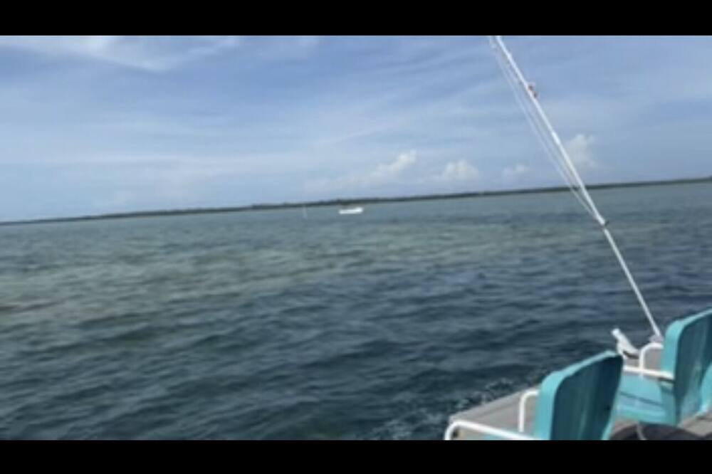 Photo of Outdoor in Little Torch Key