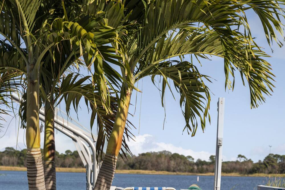 Photo of Outdoor in Seminole