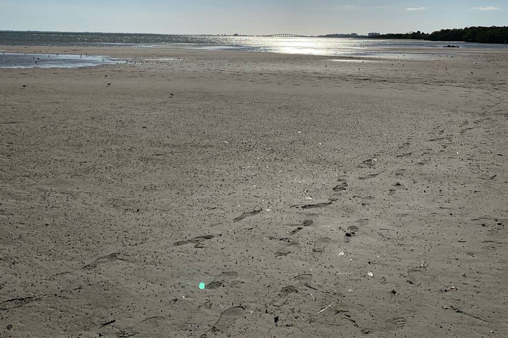 Photo of Others in Fort Myers Beach