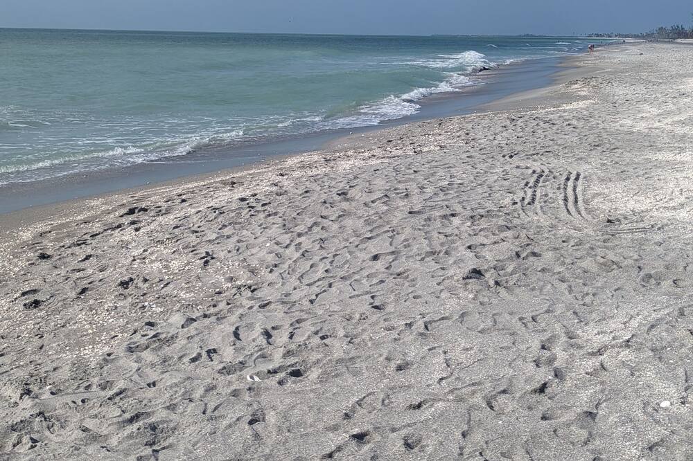 Photo of Others in Fort Myers Beach