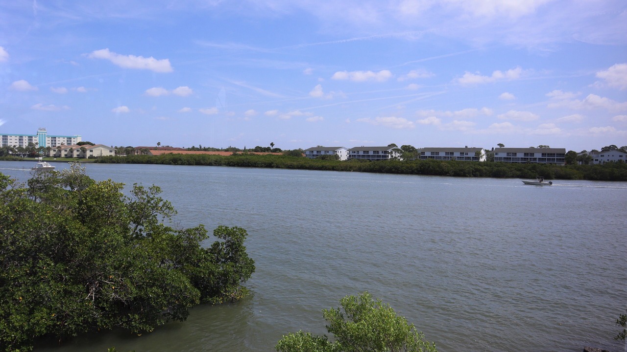 Photo of Others in Indian Shores