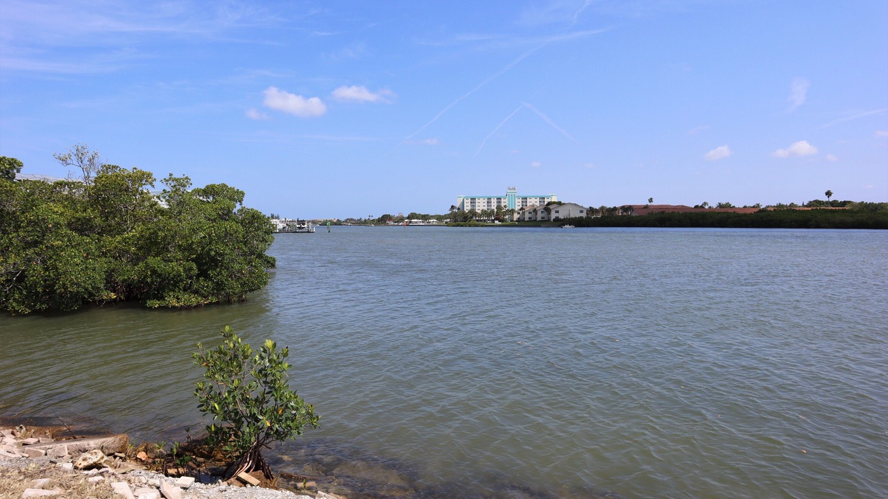 Photo of Others in Indian Shores