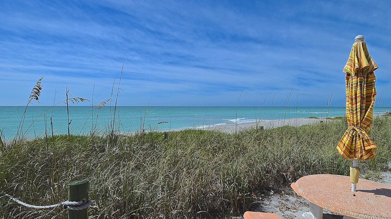Photo of Outdoor in Siesta Key
