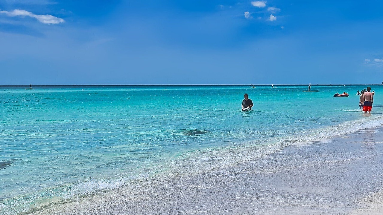 Photo of Human In Picture in Siesta Key