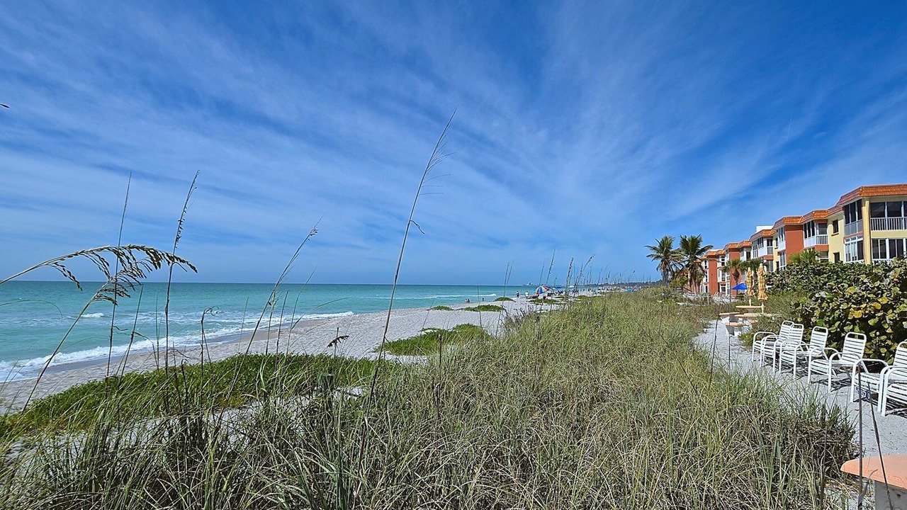 Photo of Others in Siesta Key