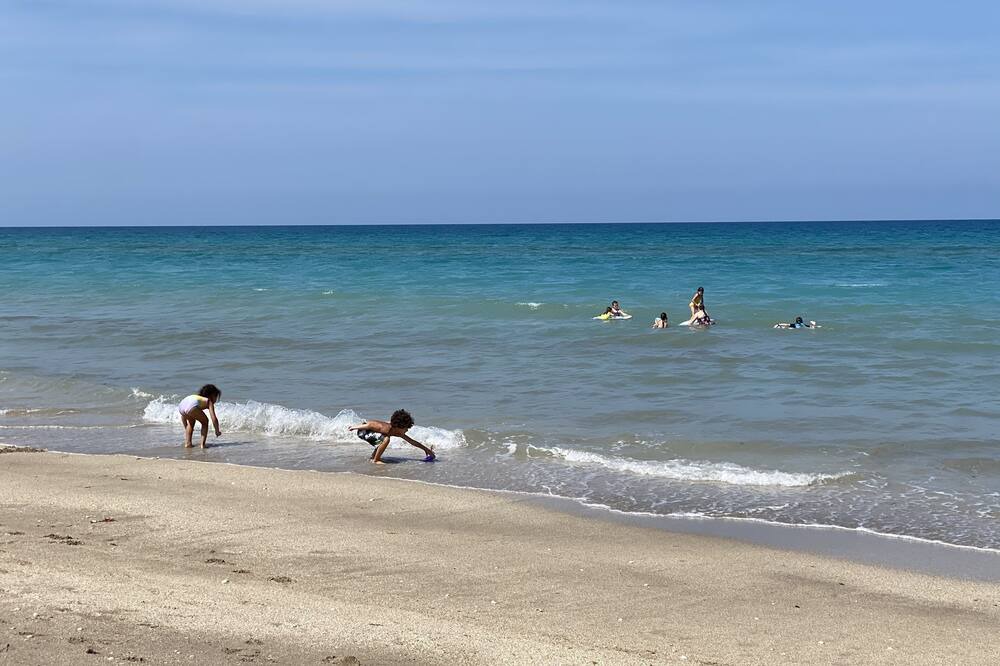 Photo of Others in Hutchinson Island South